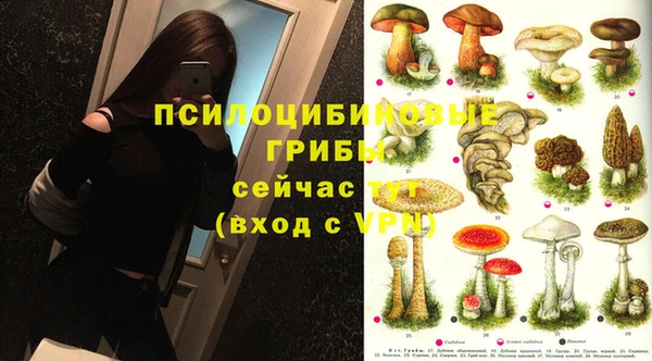 спиды Горно-Алтайск