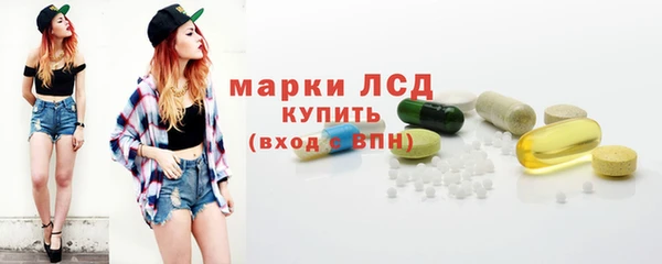 гидропоника Гусев