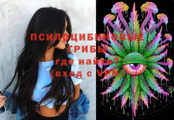 спиды Горно-Алтайск