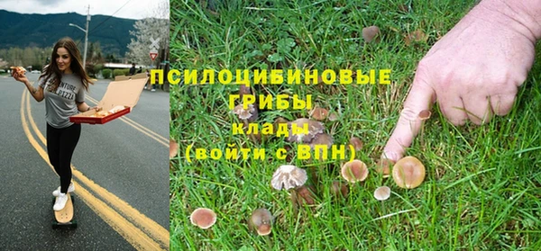 марихуана Горнозаводск