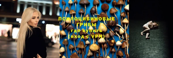 спиды Горно-Алтайск